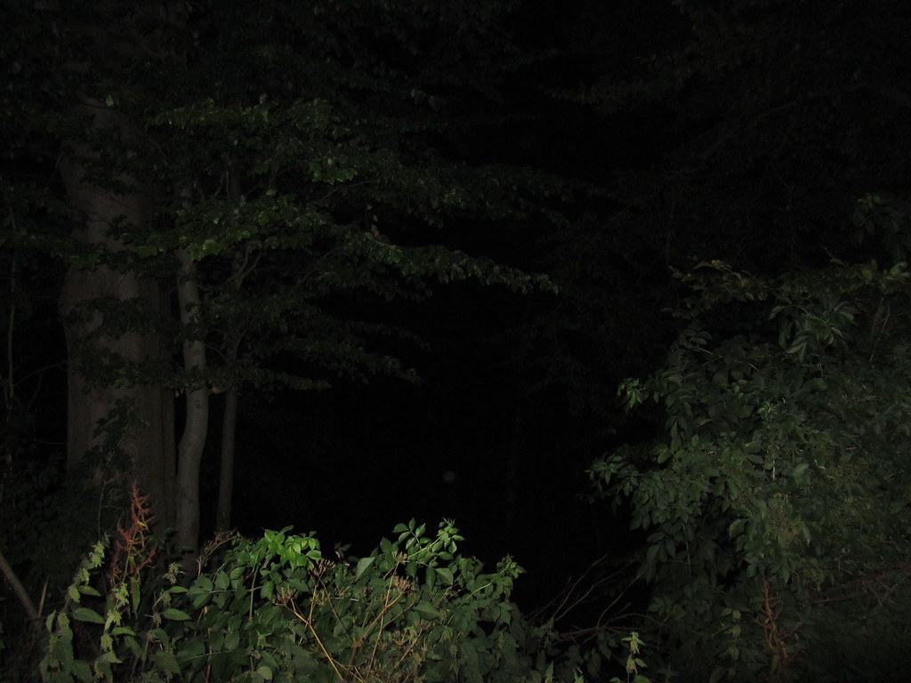 638db13a6c3ecb453ee47ce8a05abc6af31bb8ea9cda034bf35579e1418149ab.image.jpeg