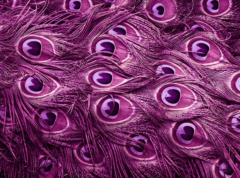 644d62fbd3dd64ab1324844217f7e4c3d6a622f3c6dc6d8fc8f0c2fec78df75e.image.png
