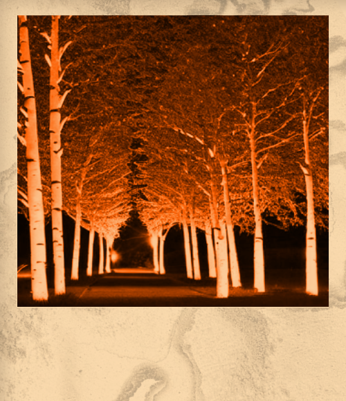 64b1a3c01aaddd2ae198ccd143a70091cafd39a7ff4e61f6931f8372a1e40311.image.png