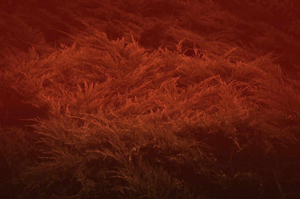 6745068a1e3fa9f2cf1ca35c3e5365060eaa26ae690eedfb380a0b98bf613e94.image.jpeg