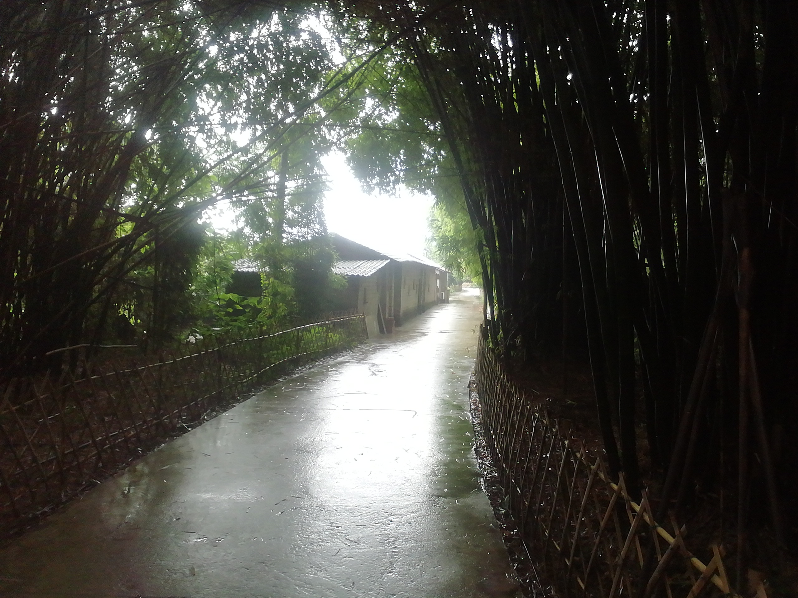 6b069ad22ac58b487ac5602fb601b0fe86ef10ab3a65ac4fe519eca9b7cb6666.image.jpeg
