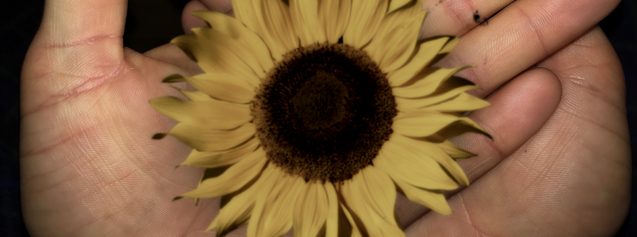 6b1180917193517007ed9bdb086eb4f67b2da492ececa1685280836741c2695a.image.png