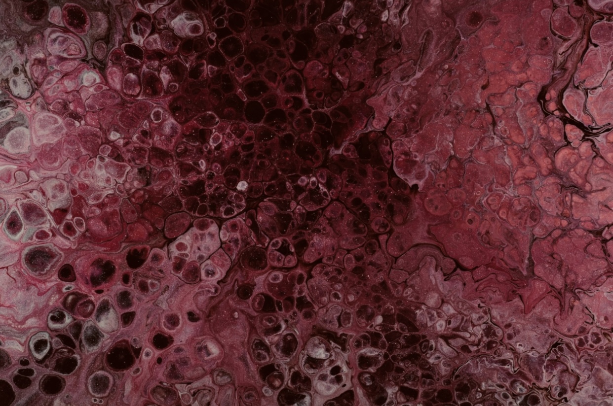 6c711545f7c5d2b1325b9fa0fb65d38fe2c555a12a51b0b8a5e1a0c0773660cf.image.jpeg