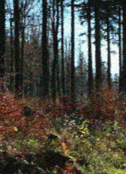 6e04497f833442355c9820cd808ae1c15888726cd7d8fcc22744c6a148488c96.image.png