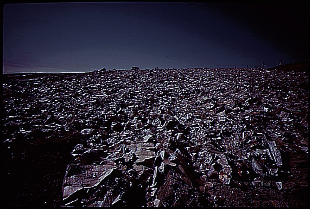 6ea63d88cfabbfbe61293babd0a72303845d7535aa2f4fd88d4537e6966b2d60.image.jpeg