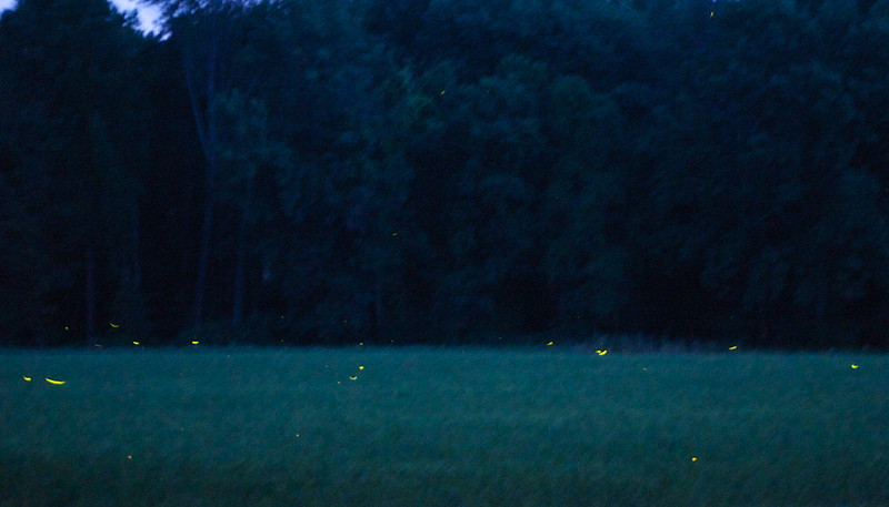 71f8c2ead07ed2c25ef5f2d8a2c98da280d0e7c59316e6dfec3429f96f9ff43f.image.jpeg