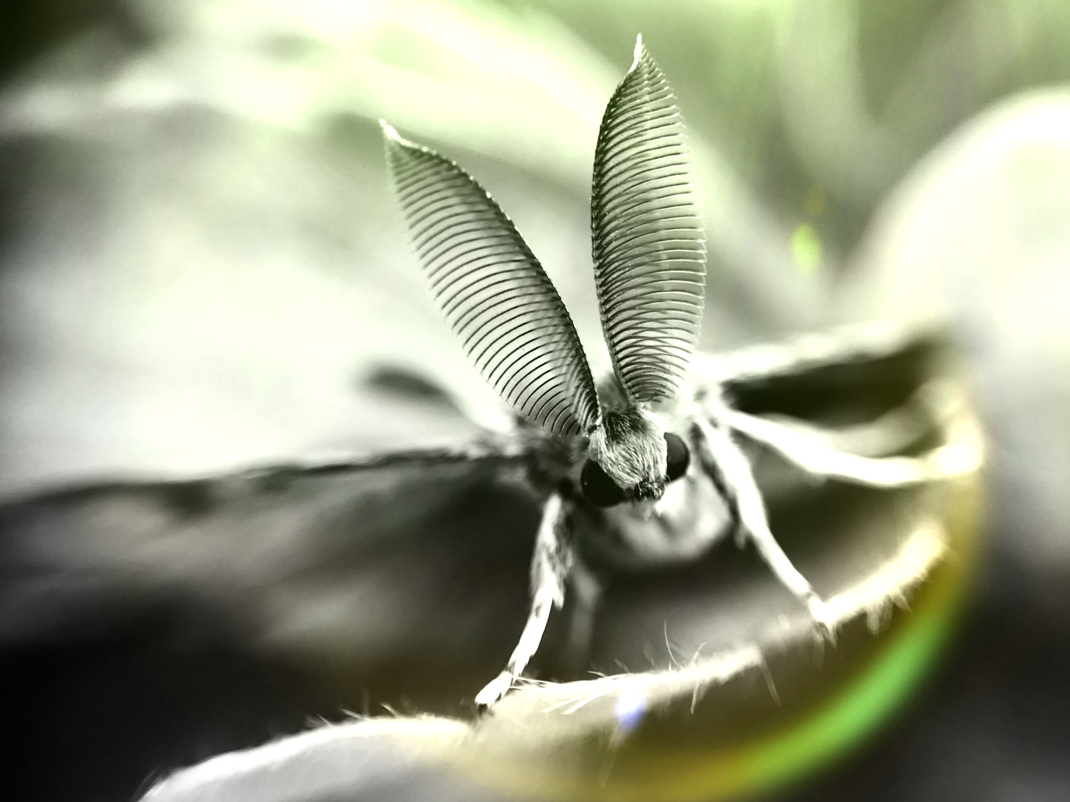 72fc04023fdd3fa0f53b2308d1ce138c29e486fe9fa0e6d34eff504d0c63da1a.image.jpeg