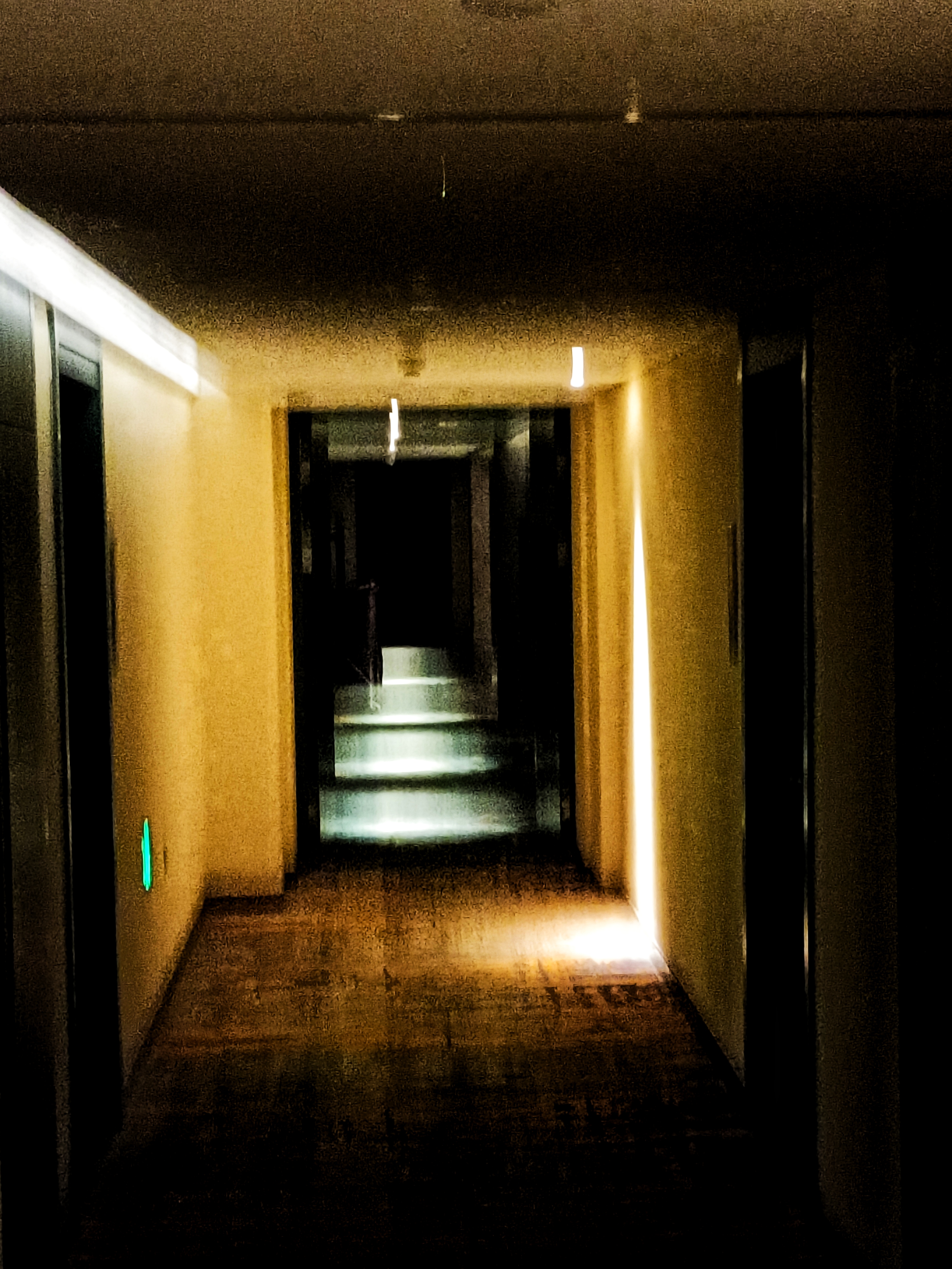 73036287c285f860512487fd0ce1b893b1d923054a51c276ece447c53b88cc2c.image.jpeg