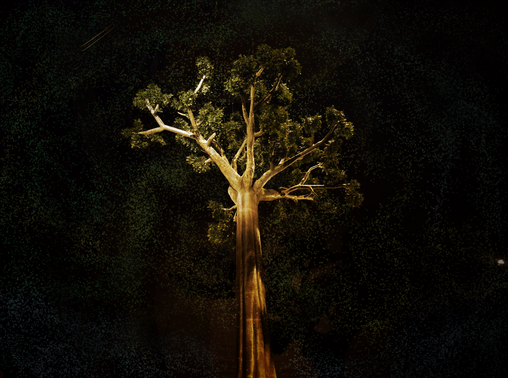 79cafb5d1e349e9cf67ca04dbb159d1a6f135c522f9101fa3a02d57a4bd71046.image.png