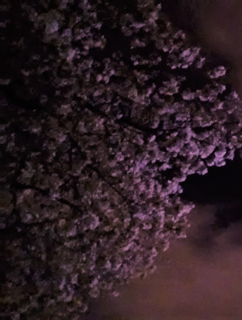 7d26f7025c9a20ea2945be4d0f594904c8692f67517b2135ddea89e6decc2529.image.jpeg