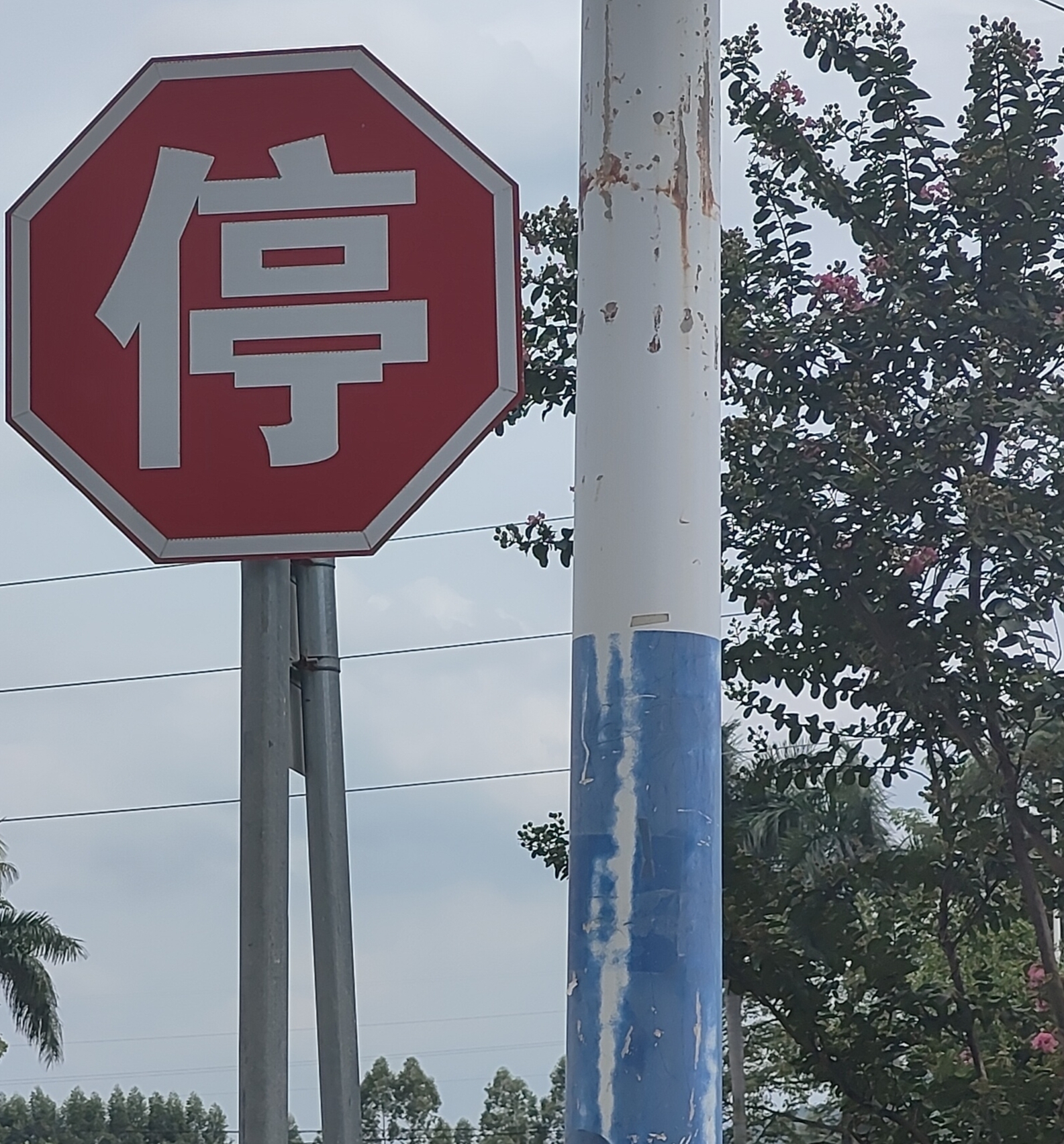 7ef545e3a30cf53ba2c92f63e7d849ea9ac8e767187695d00f2fc17ab323eed6.image.jpeg