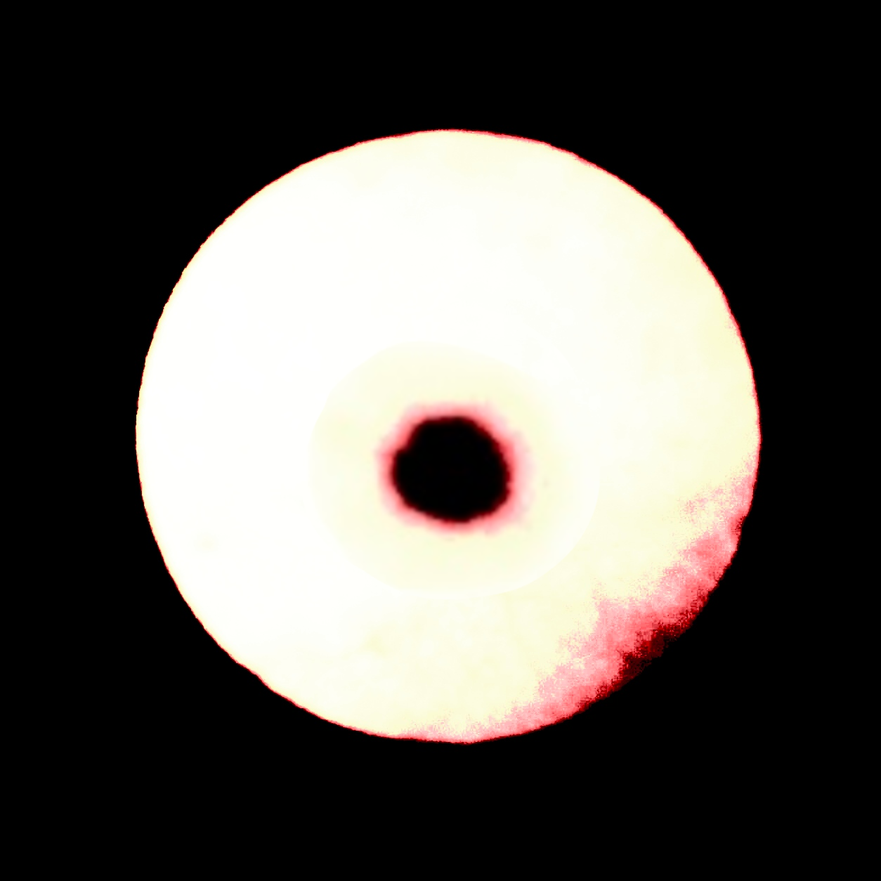 7f0ff6f97da151c97578c166d34dcd986435e62ed4cf0561d28222b774555971.image.png