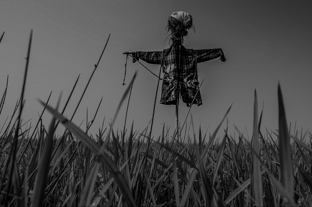 8132e6eda3c4d187e703794740b698c5237f20819a4e5572fc6fc4837bd8d36f.image.png