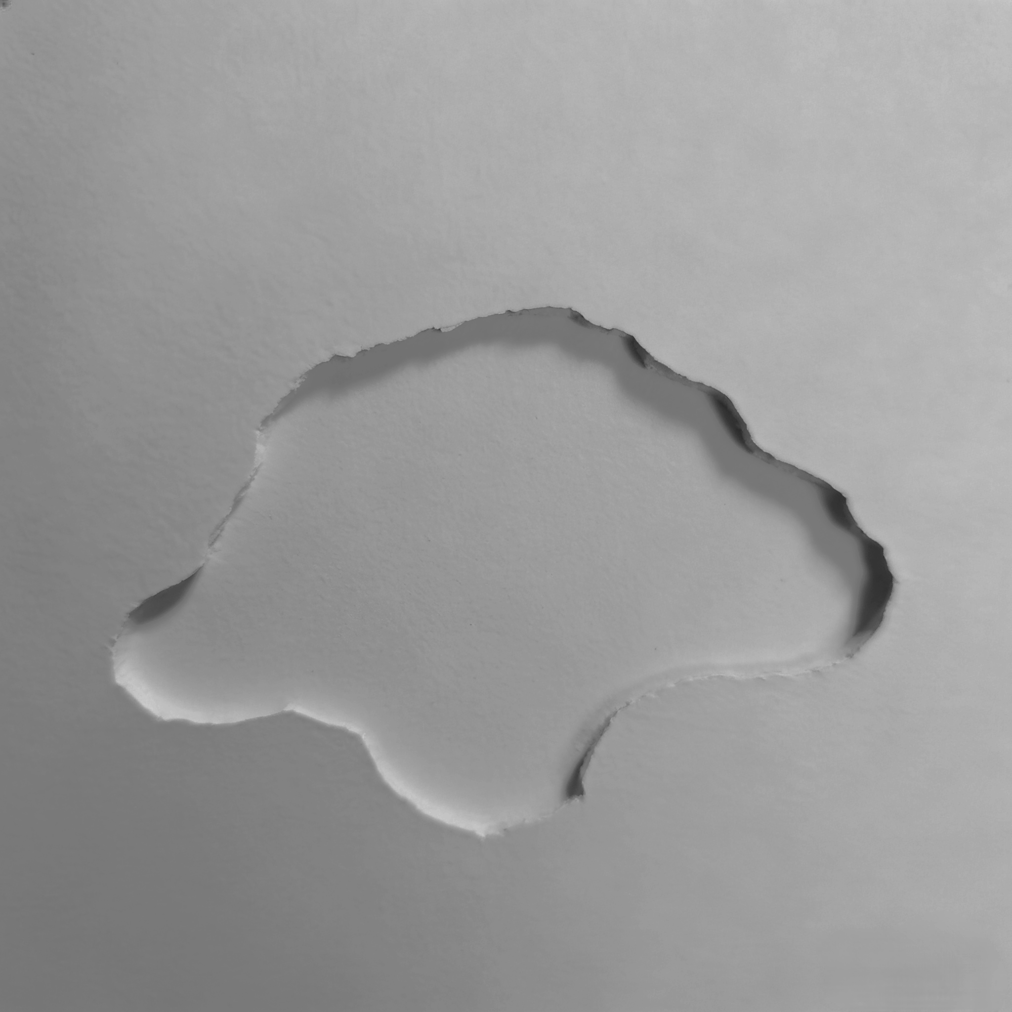 839abdd0db7d23bb0062d9204db4b9eaeba6c3450ec169850278c54429332a7b.image.png