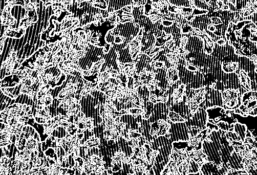 83fd9df3ea981f4d0d9ef78e6b82f2f855470e681b11e100880d9296bd47406f.image.png