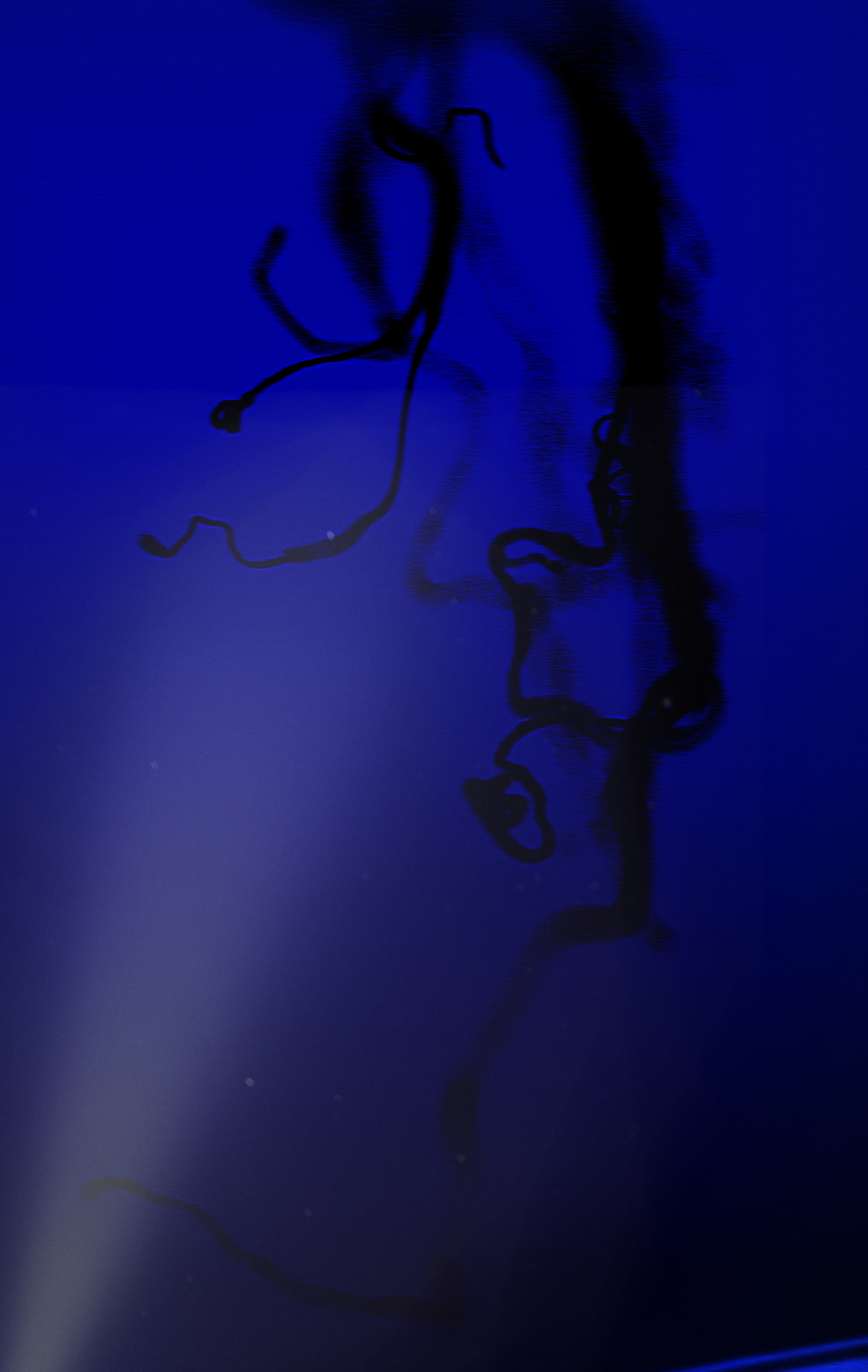 88002043d825c338f970cafab4da2d4b7333dabf45d4e82872f08926db3ae320.image.jpeg