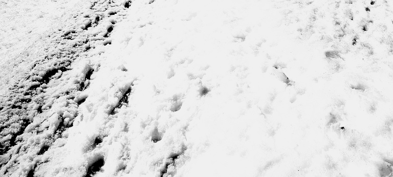 883d356e8aad8a8c7e0596dfc7dff1885c62a716babfcf0d0fd856b7b7ccc0ac.image.jpeg