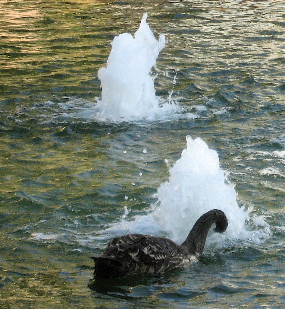 8ab64983a1d44f07971644f2cc2084755c03dc9ac3e416ed851791f71f52fceb.image.png