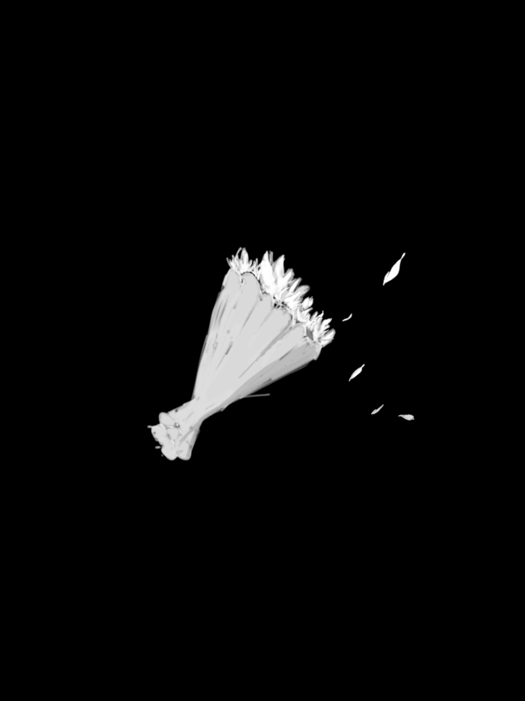 8b2075a6679a46b32f3cb68c1847b61c0abb56ea50ca6a7a642b2d430fb7337b.image.png