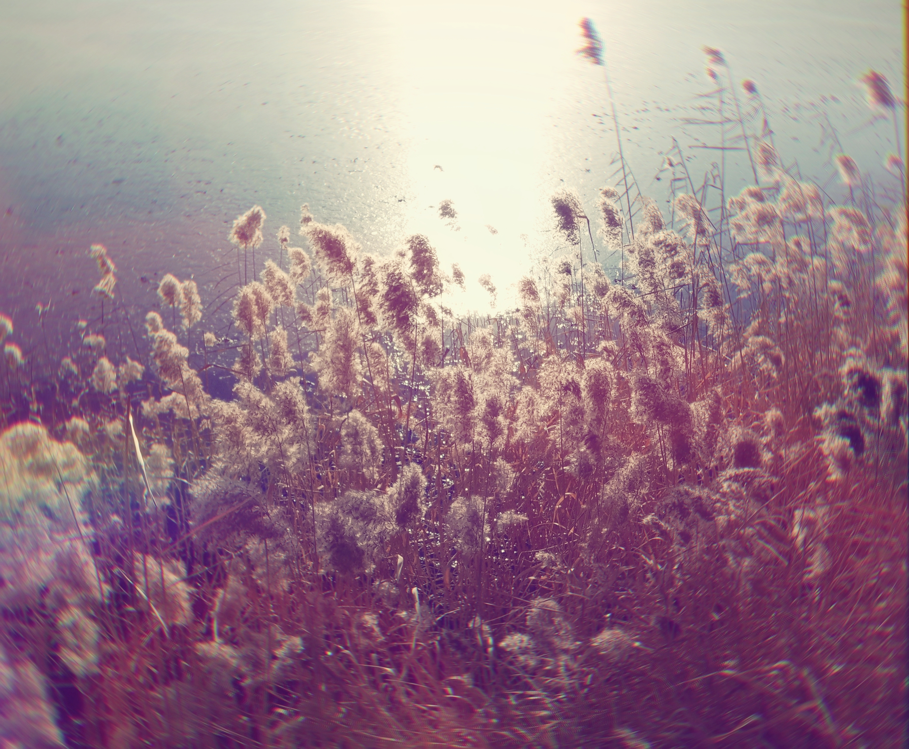 8b77078e451435ff53f992c69fcb29c2edafa11c8219a2a13f008df29c9bd6c2.image.jpeg