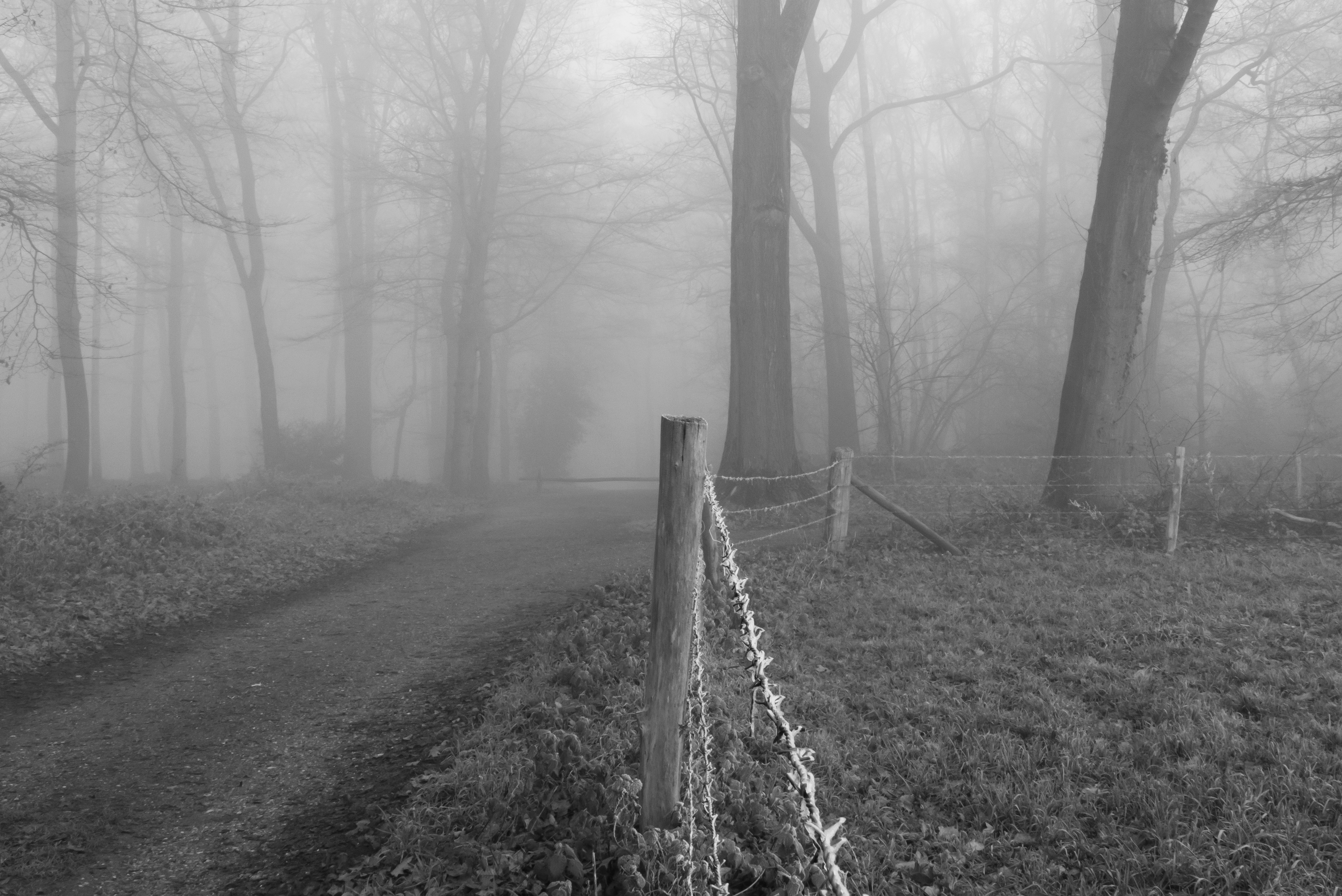 8cb833918d86a6f271549b315552b364612069f58a9db2b9a957c7c7fb66cdc1.image.jpeg