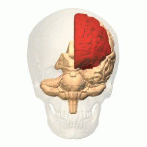 8d025876e42d769a112efb03d8a5d01a54f9a79d95d12f8bfd12fb83a7be3ea4.image.gif