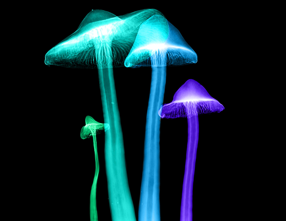 8d34f4a2f2e0c9412a7b9c5504d401f7d605036429581271eb78a3545e9c1ffa.image.jpeg