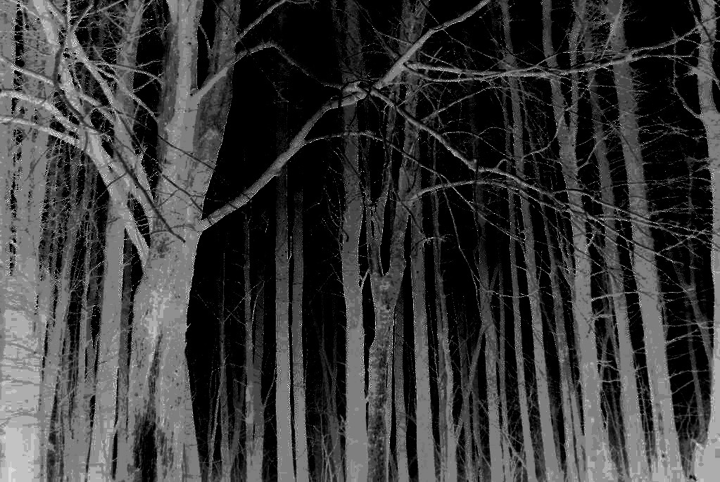 906576b190600745f0ac2ecc150d1a955908f79b7ba6666dd67c9b475737e4a1.image.jpeg