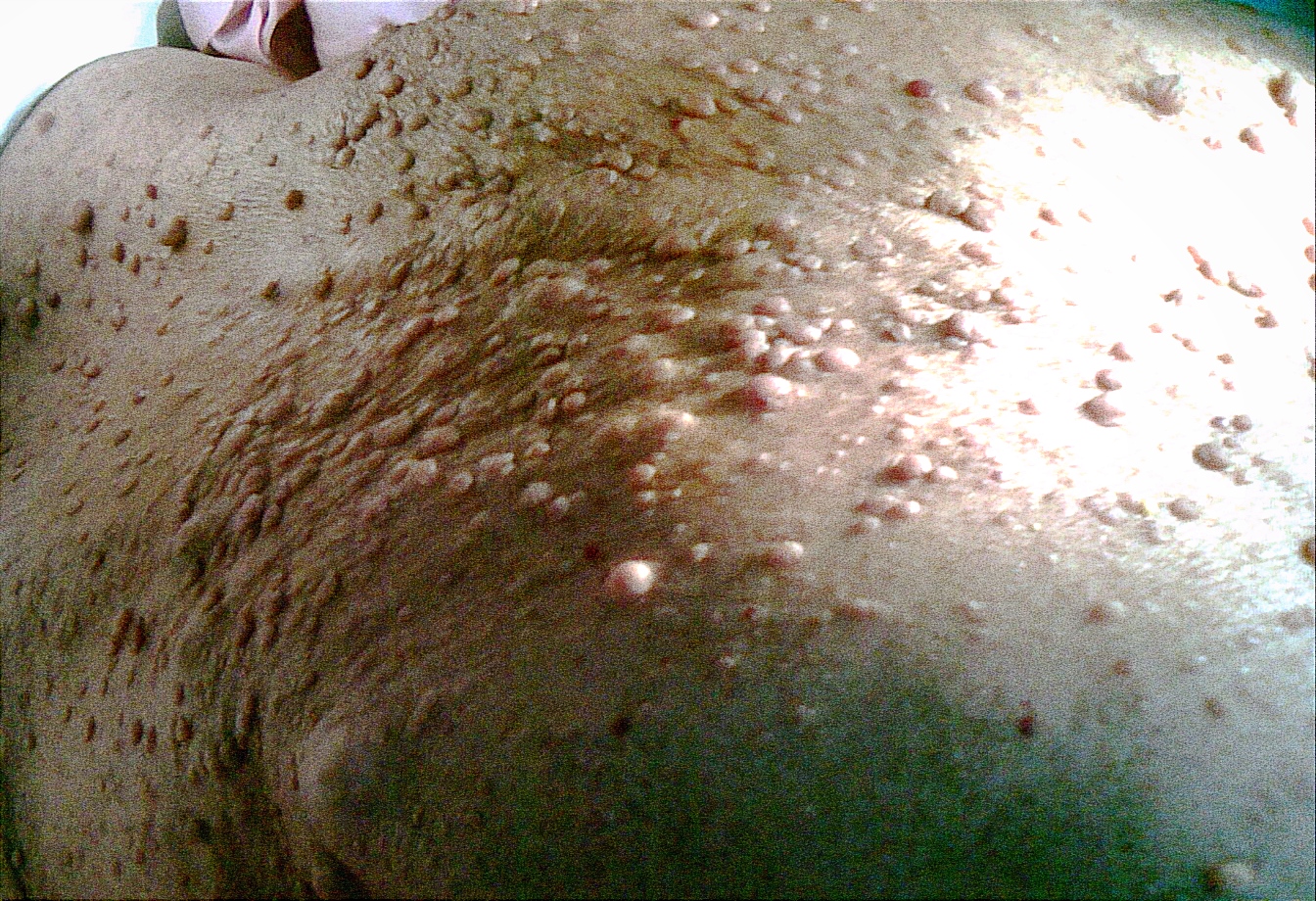92ff138cd417e81fbe6fa6ace4243a3c4cfce1110e194d8f2f1dd404ddf45c8c.image.jpeg