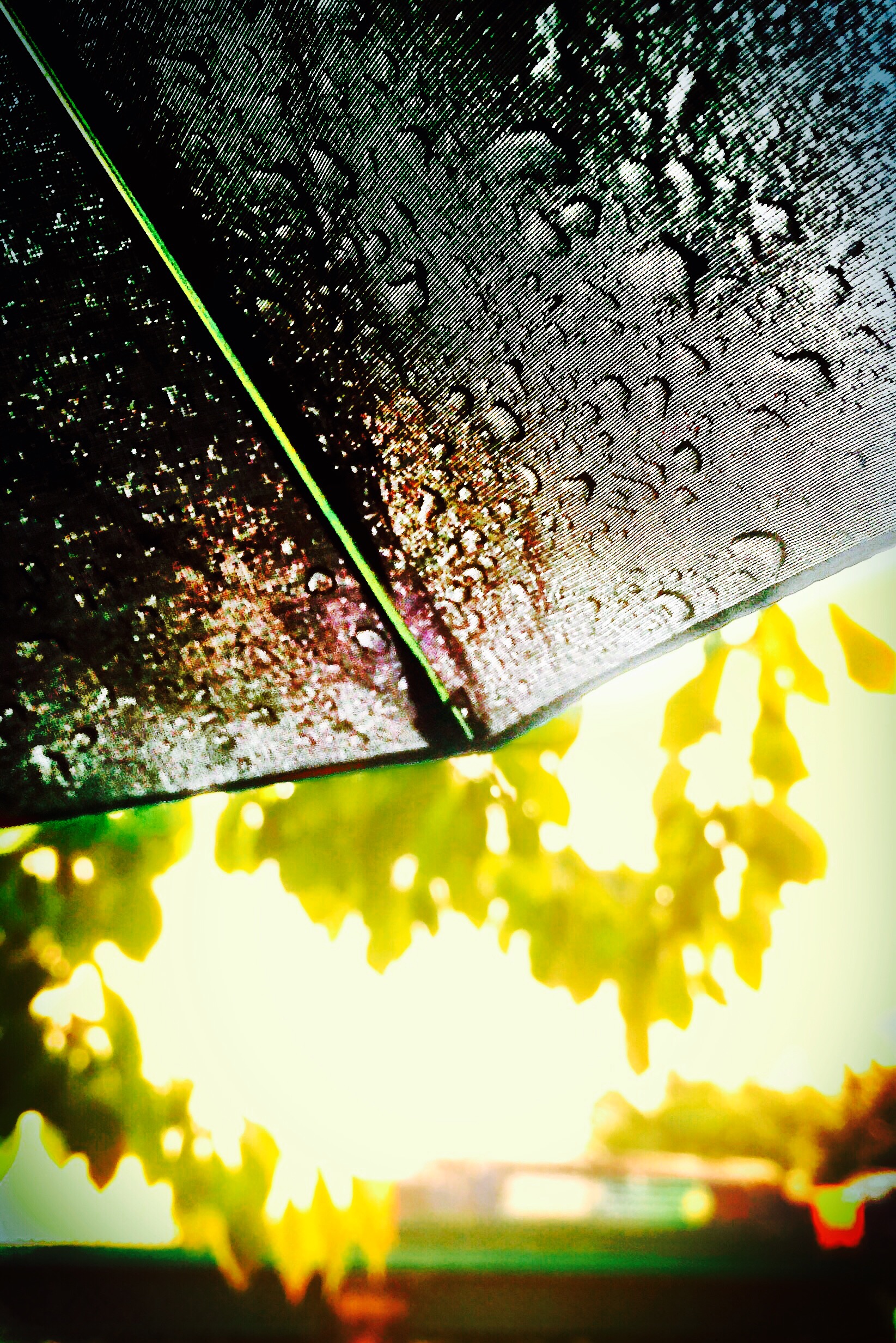 97ea23c989676f43578eab549d70f78ebd55e5ae3f760580c74f619427e6c1ad.image.jpeg