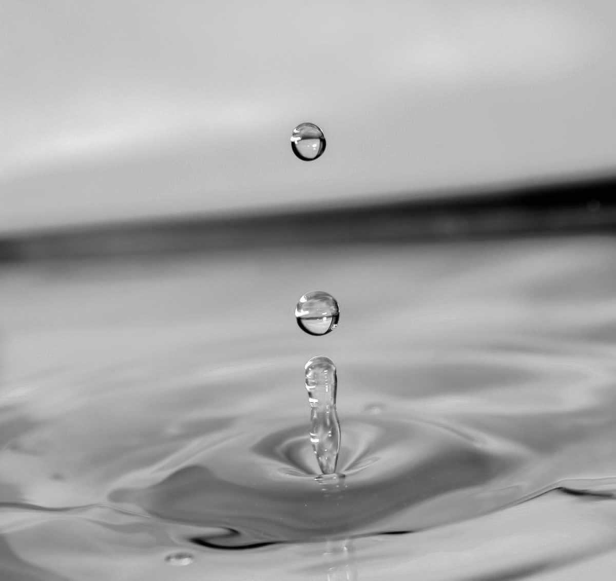 9953c8c992a97f381d2801290320c8a319c32fdd3092729f953d11b07fc337ec.image.jpeg