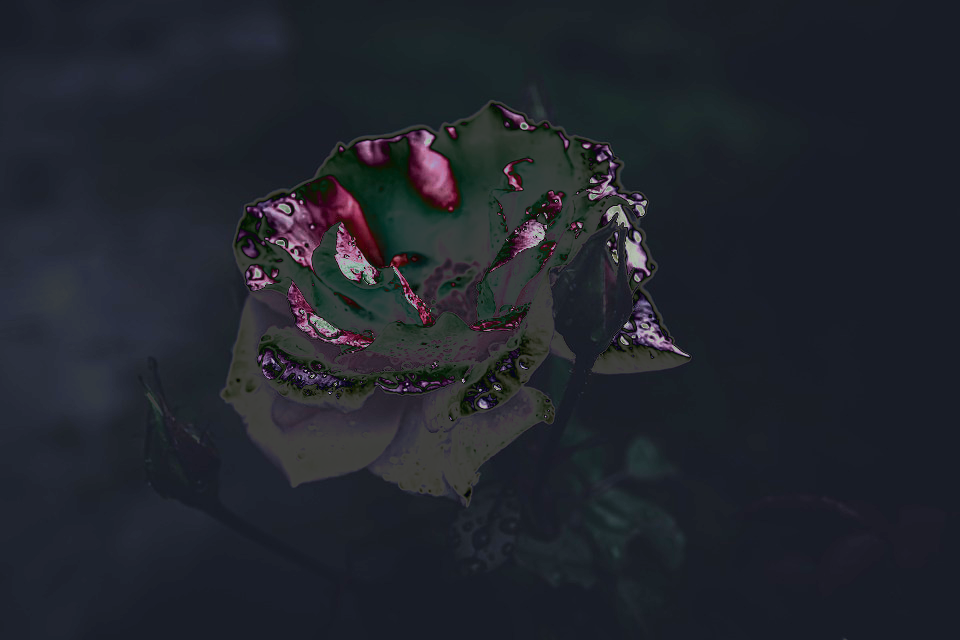 99cec28447800a2efc7601a64d64f8c47b73b4bb3d803130d44f69864083c6bb.image.png