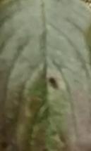 9a5620c663ff735d51c8608ae354a187cf47e50ce51c80e43d091c568ca12cea.image.jpeg