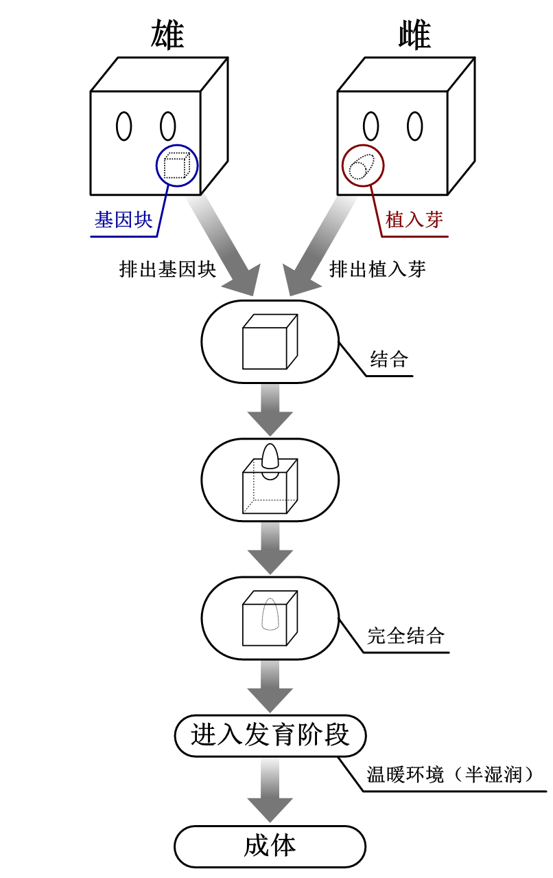9b065c85577b831d3d4c15ceec3bf0f6f67ac6b599c65482c3fe092daa6c9e95.image.png