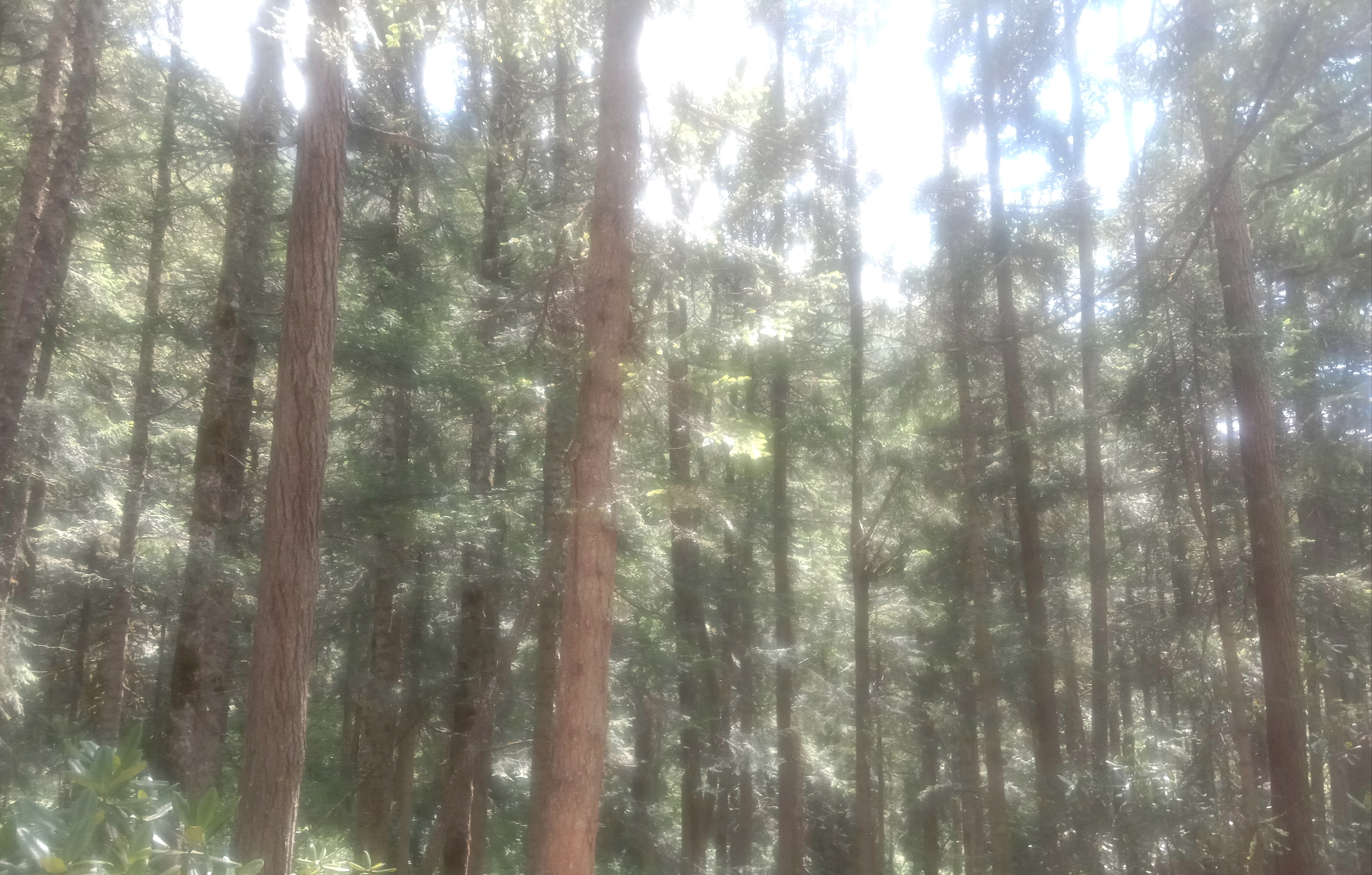 9f58cbda4f01036715112a68e9c5ea92d6cf8d65c7a382d9a5396dcbb8961f47.image.jpeg