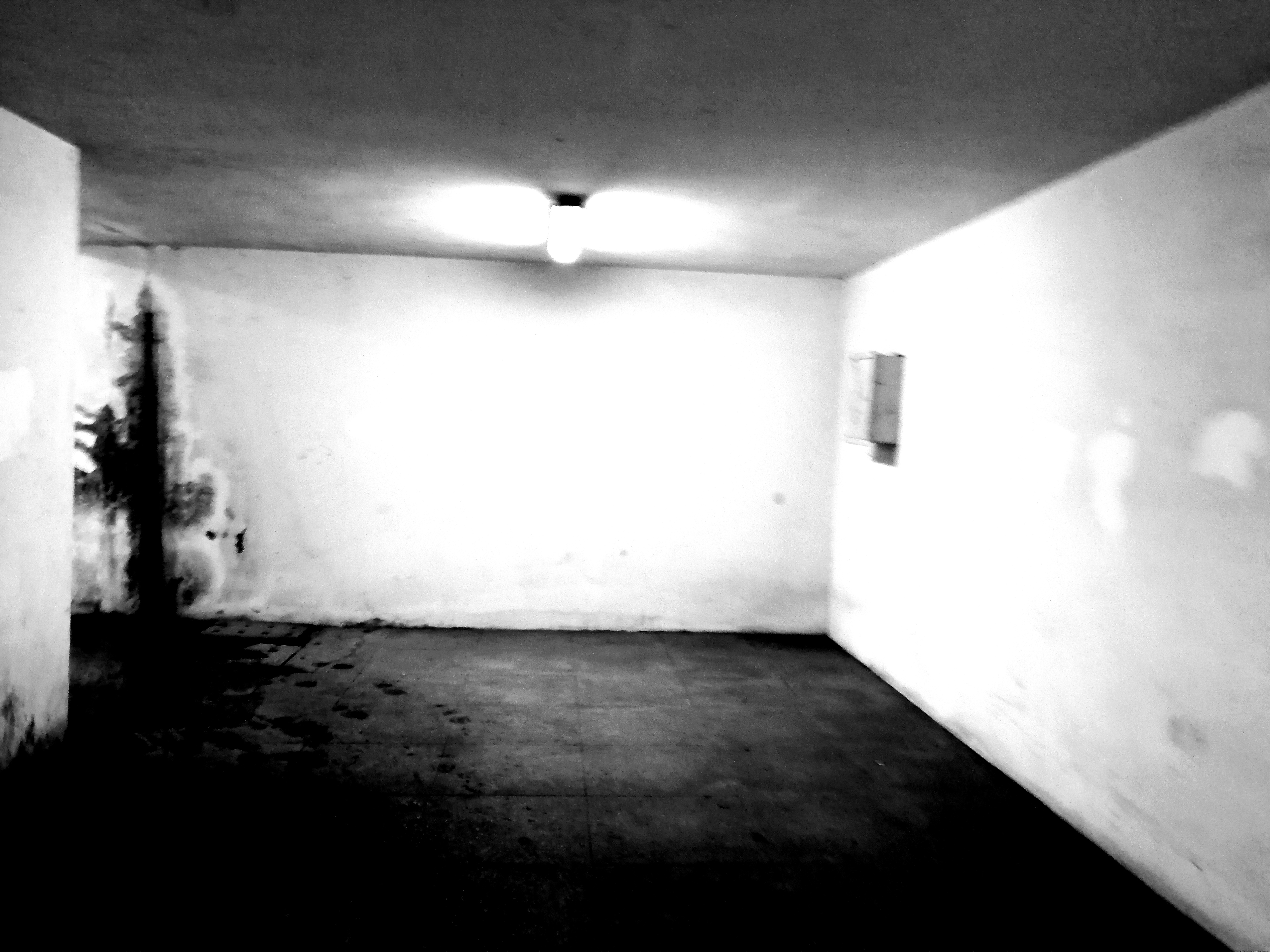 a1325a8a2d6e783be2da48908f8c917ab0c710004431bc9f05b3140b722ebc04.image.jpeg