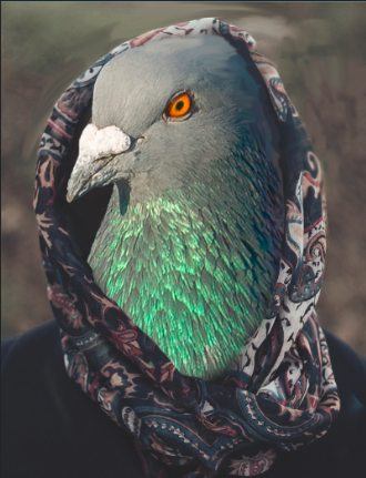 a1f3b716df1f91020f66bc73c14bd6d83a6e79cf74cdee5748867b24a55d0d7a.image.png
