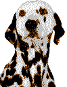 a35619d45ee18c40d086a7ea774dd531b02bca0290336f899c3d76d1744bee39.image.png