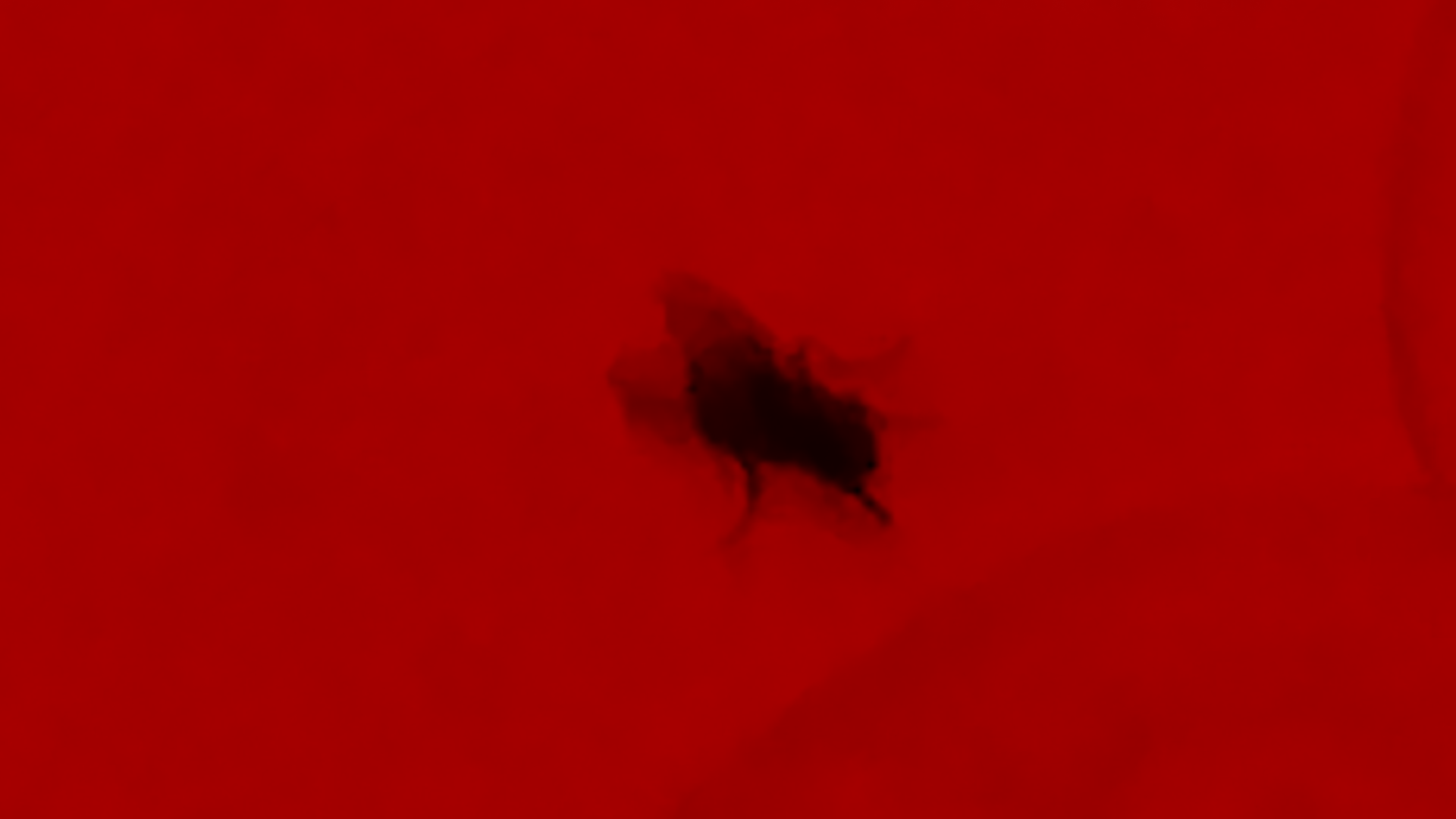 a368c346782c4e2fa93f7763d9532737b4f0592b638d5f45902ae901a984a881.image.png