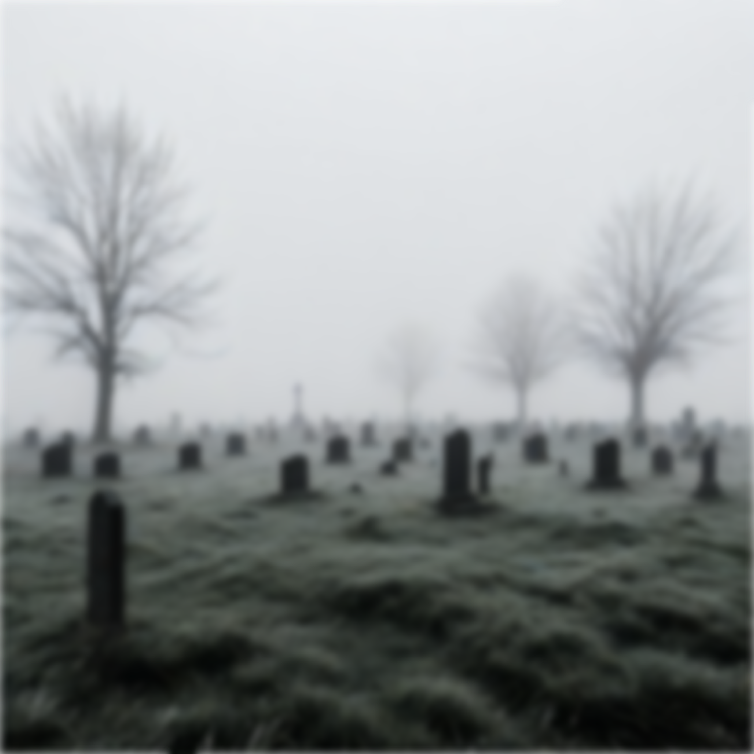 a39877a2bdc5d84a5c7849548a607f241181d9ffda241ce7aba779da1d49ab26.image.png