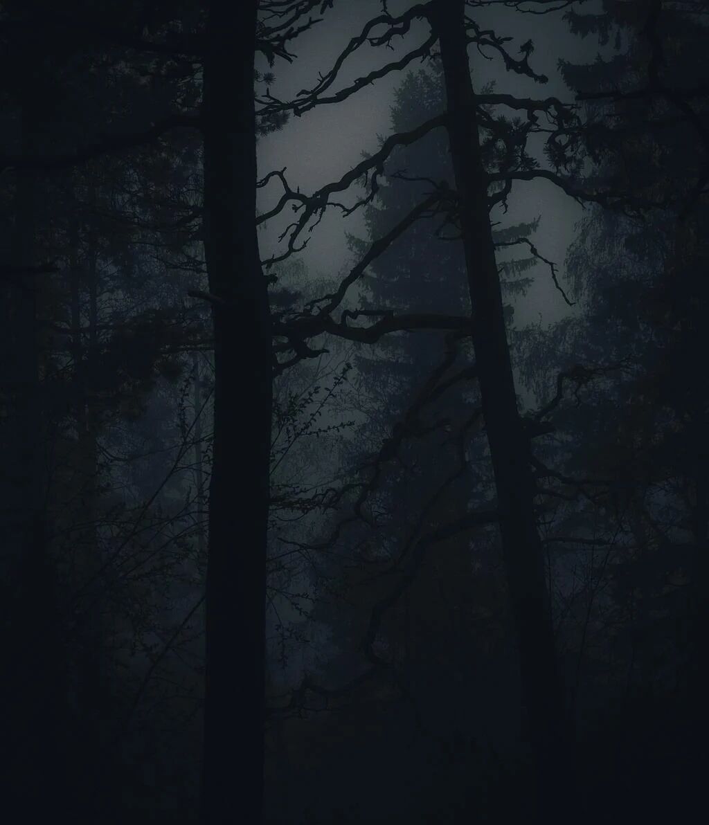 a5520ea5d91a733b45d8dca6149497b5fc9d45fea93dc199a18bff6752a5557f.image.jpeg