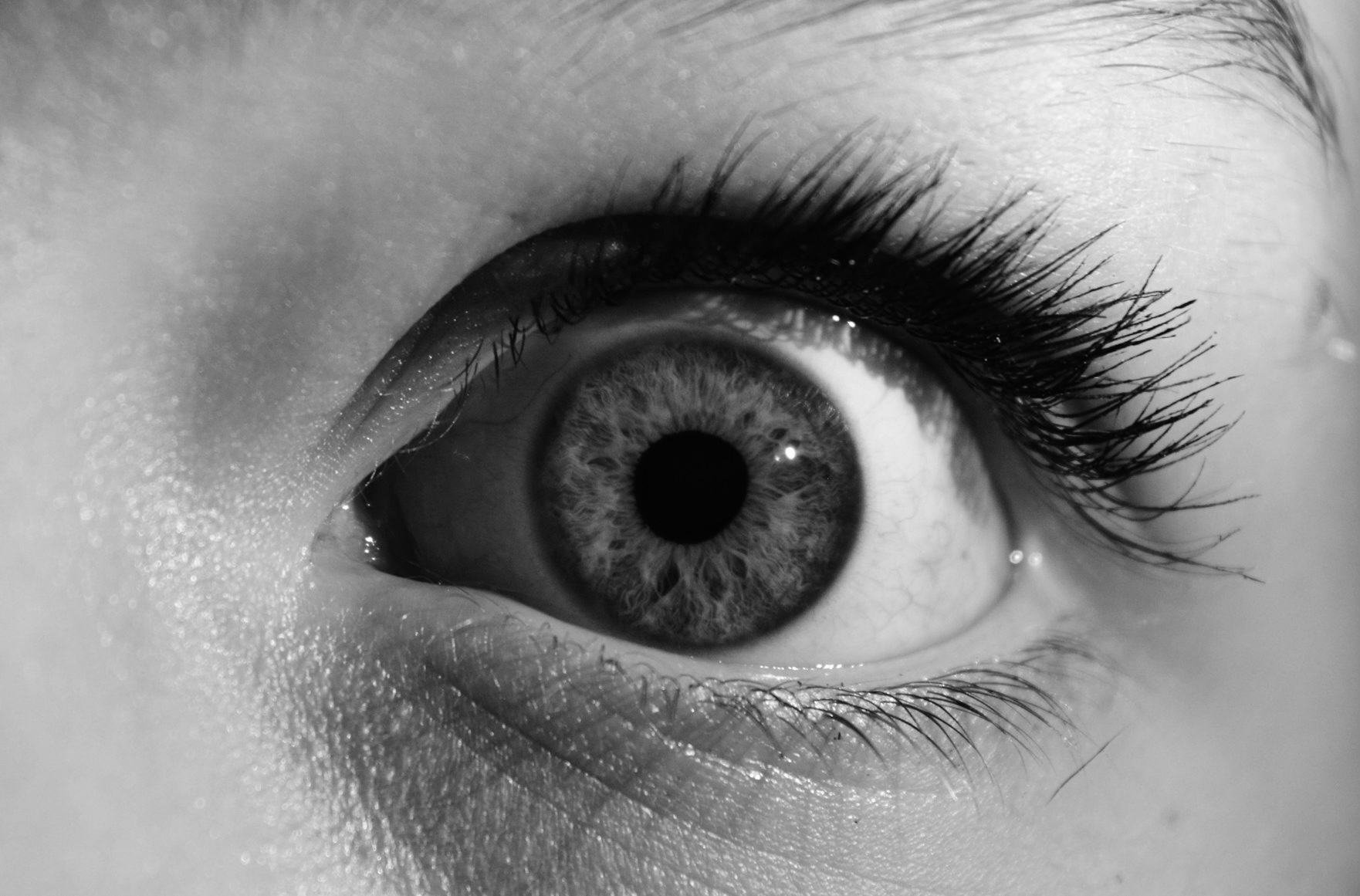 a56a5391eb652f7e6c84e1f7b4dd0014b8c26f94d1e61239756280d102a4ac74.image.jpeg