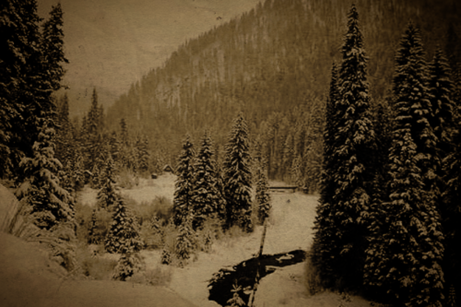 a88a770247fc4b928878d4632e45a36f01eadb98106e3721351846e022ffc734.image.png
