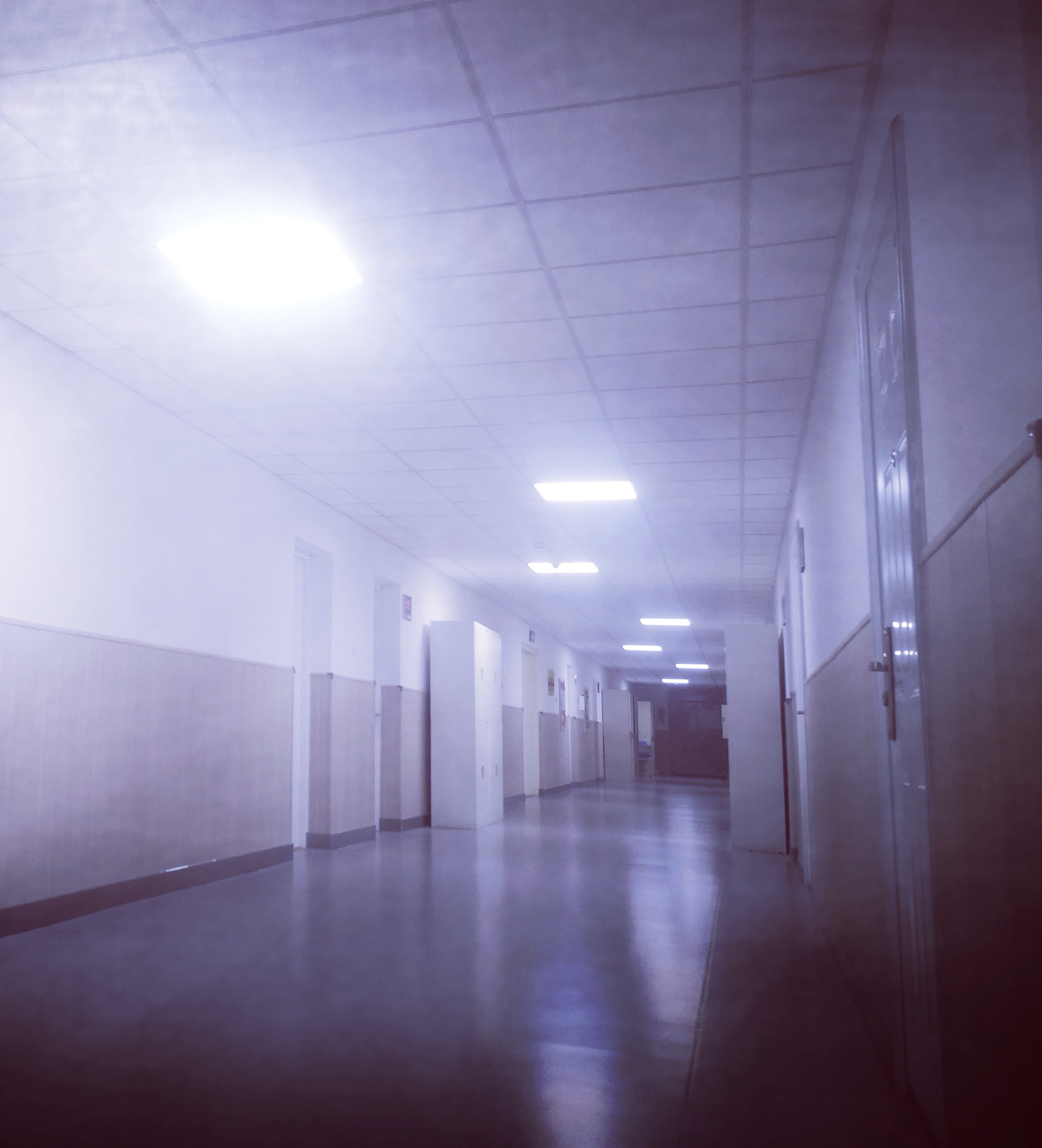 a88c20c1ebbd7bf8e4aa180481bdb333e8c61d1ba93291a94dba38a735868d1e.image.jpeg