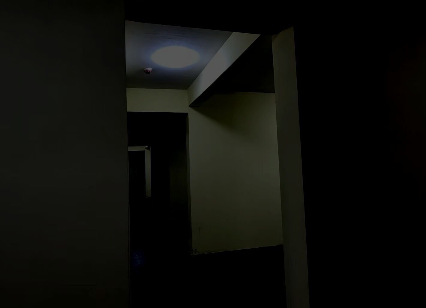 aa12b0d770b5680585867fd505c0857d3d424fb84a5a45ac11d6b83965c4f60f.image.jpeg