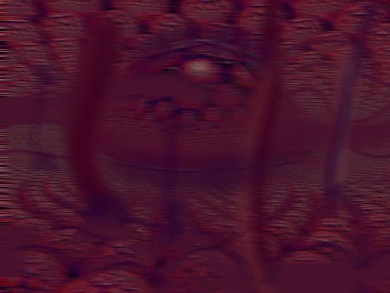ace85f3164cf0ff7f130f2920f945550ece4e6bfb11029b67be8c6d96a1986b9.image.png
