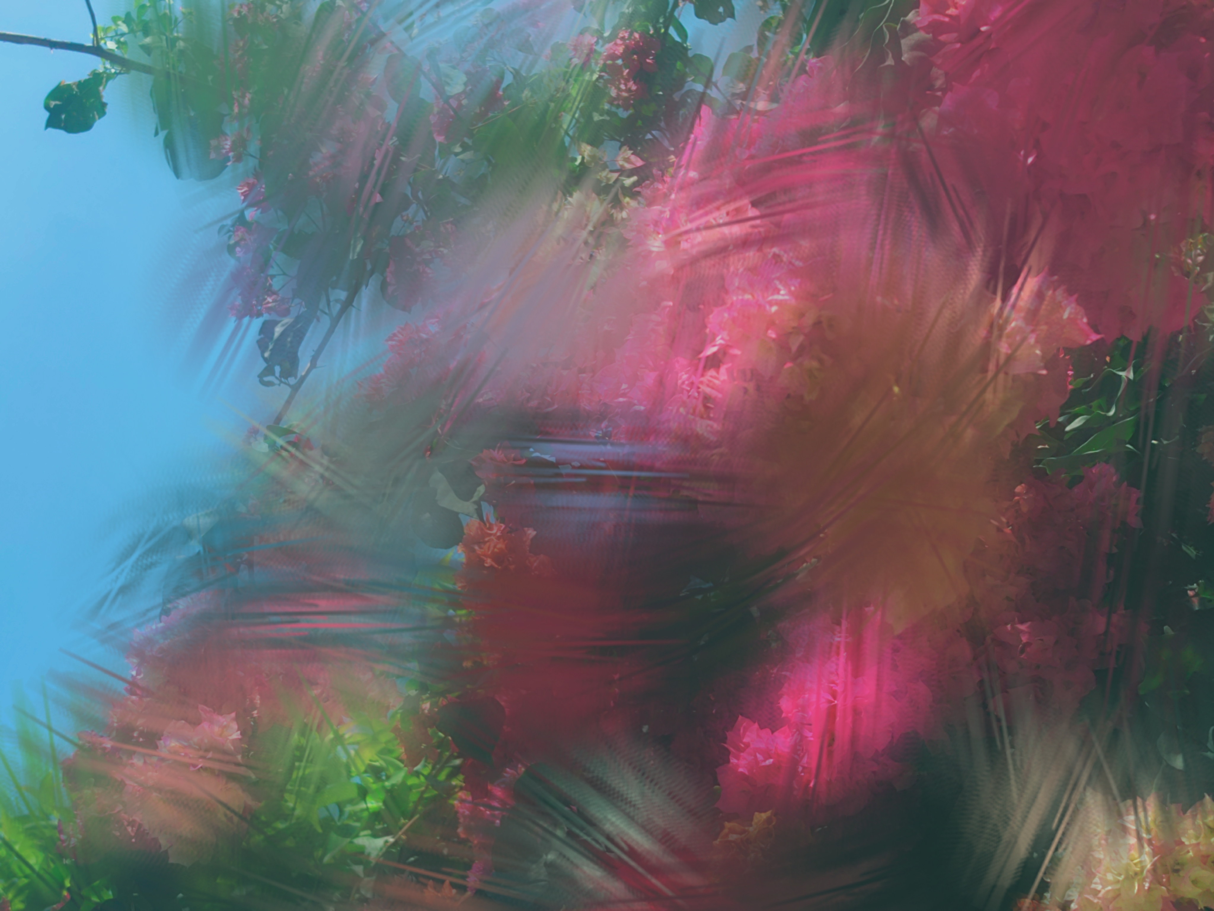 b2ffea64b01538e1153eadd5f5d06032c9df17eac01180ddcc2afa507bd8bae9.image.jpeg