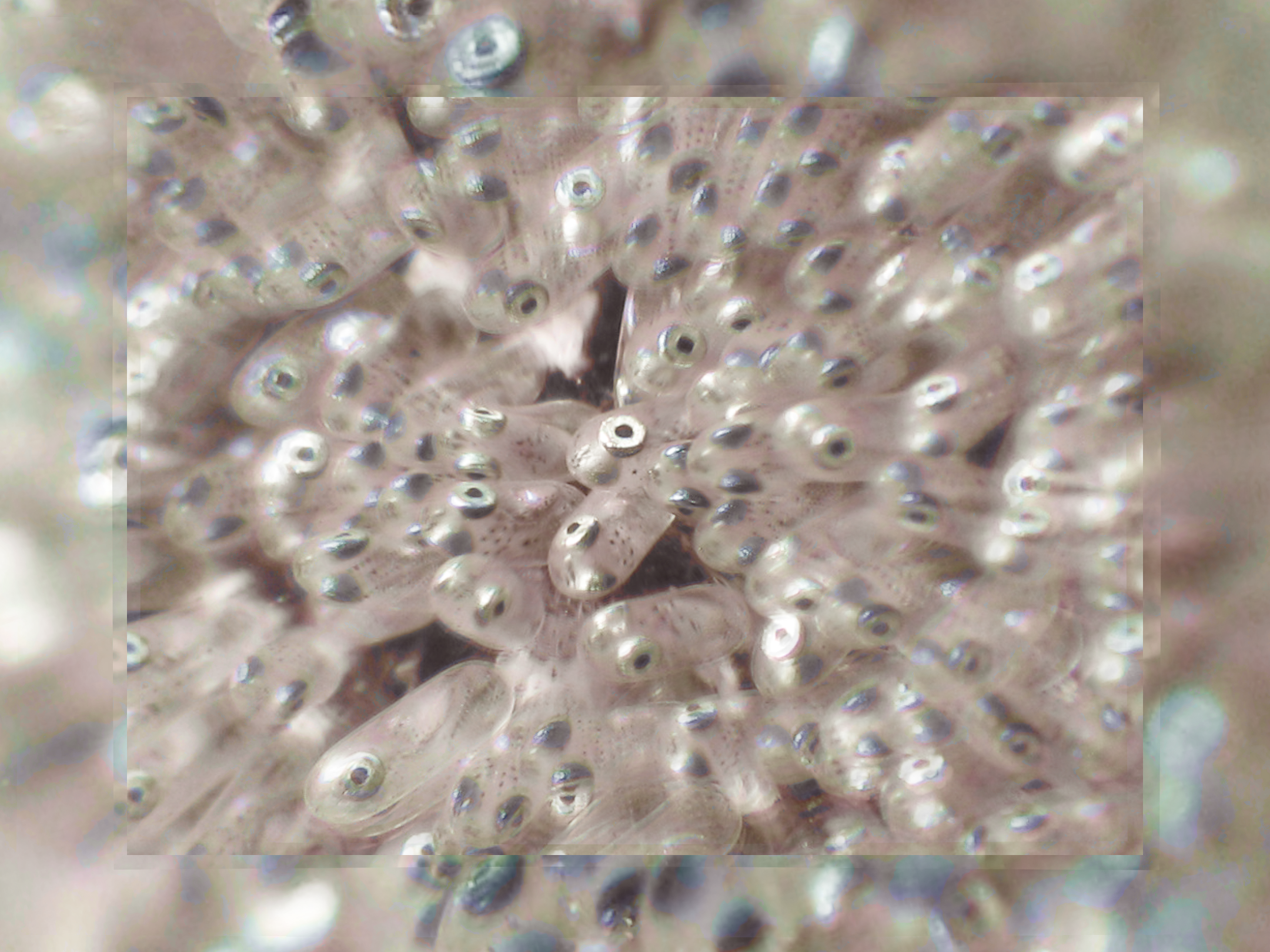 b8968febfd991fd82450b5efcbc2f0913d62a886e22b403246becd88d7f5ac90.image.png
