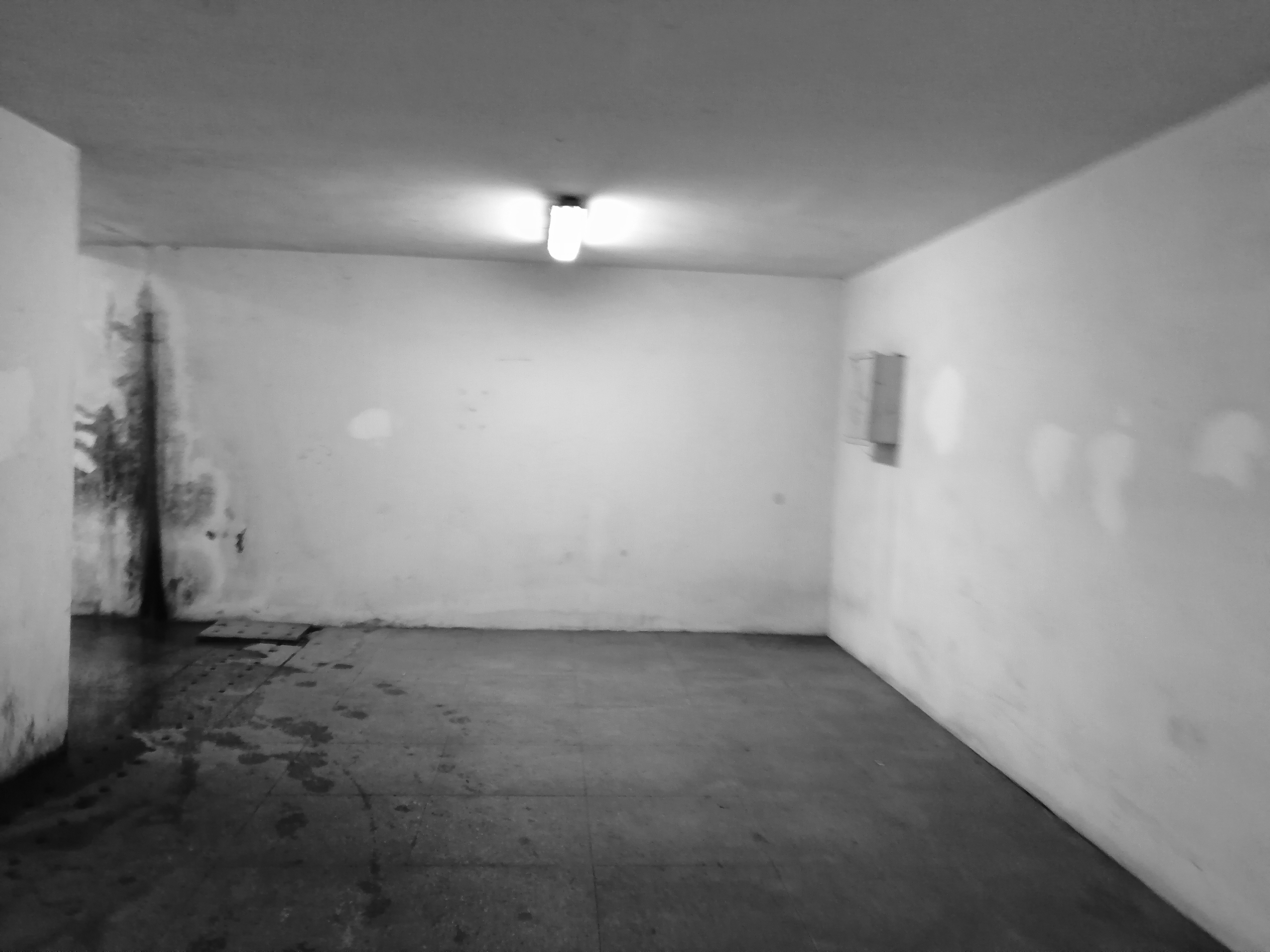 baf9a53585dff7aeb769bb4eac2af0469935129e033d1e9da96aed1e3c42ee99.image.jpeg