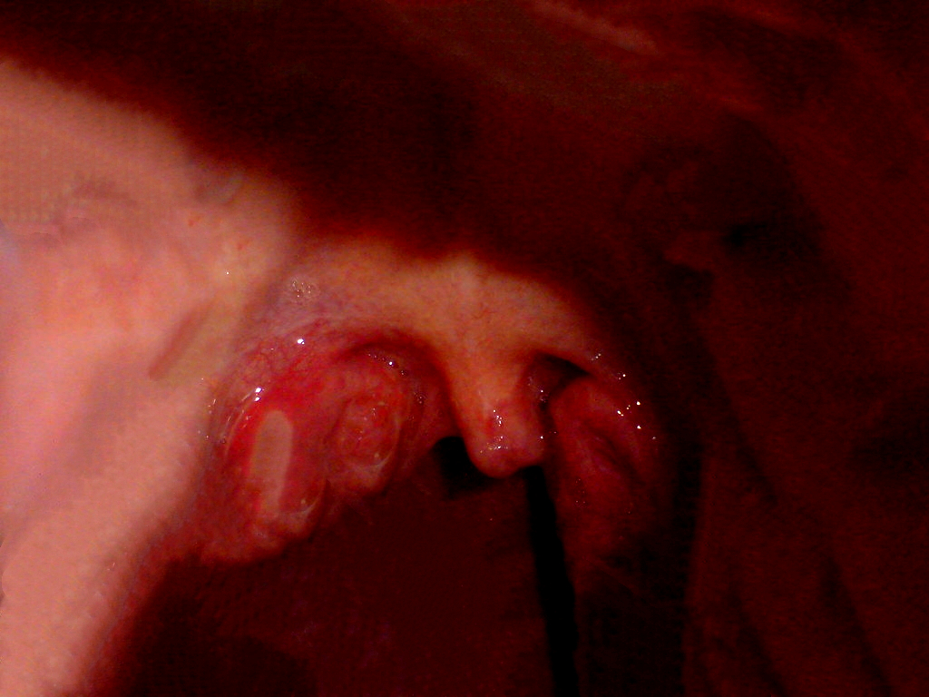 bea47cf3bf38aef734acf2e6377adb04d680ca522a8d32775b4909c6545f6218.image.jpeg